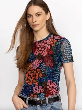 JOHNNY WAS  (RARE) ELEANOR MESH SHORT SLEEVE TEE   ASTRID